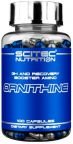 Scitec Nutrition-ORNITHINE 100cap.