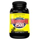 InterACTIVE Nutrition-Mammoth 2500 1100g.