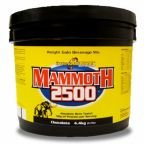 InterACTIVE Nutrition-Mammoth 2500 4400g.