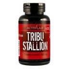ActivLab-Tribu Stallion 60caps
