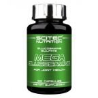 Scitec Nutrition-Mega Glucosamine 100caps.